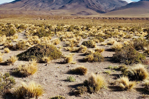 From San Pedro de Atacama: 3-Day Uyuni Salt Flats Tour