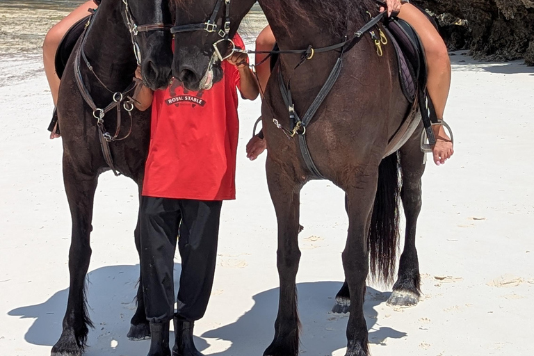 Zanzibar: Beach Horse Riding At Jambiani With Hotel Pick up PRIVATE TOUR WITH HOTEL PICK UP & NO ENTRY FEE INCLUDE