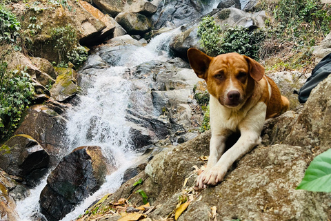 Chiang Rai: The Adventure of Trekking & Bamboo Cooking