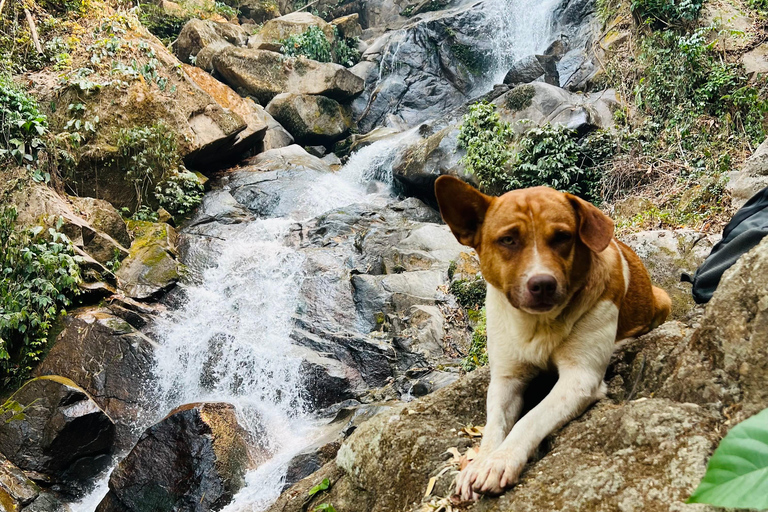 Chiang Rai: The Adventure of Trekking & Bamboo Cooking