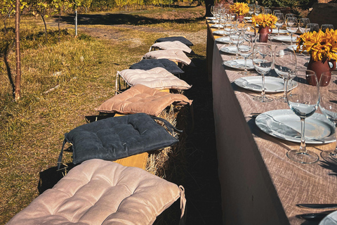 Tbilisi: 5-Day Private Guided Tour with Wine Tasting