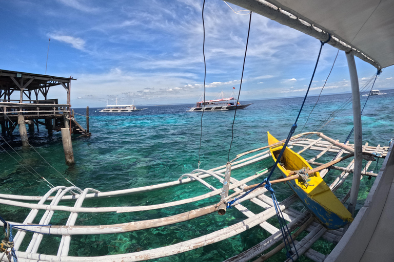 From Cebu: Island Hopping to 3 islands with BBQ lunch Shared Group Tour