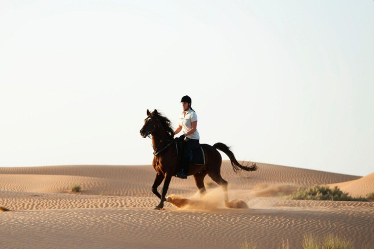 Doha: Passeio a cavalo e passeio de camelo