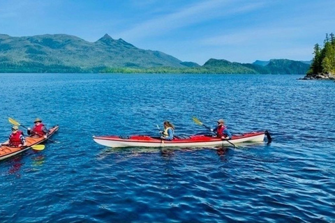 Ketchikan: Orca Cove Schnellboot und Seekajaktour