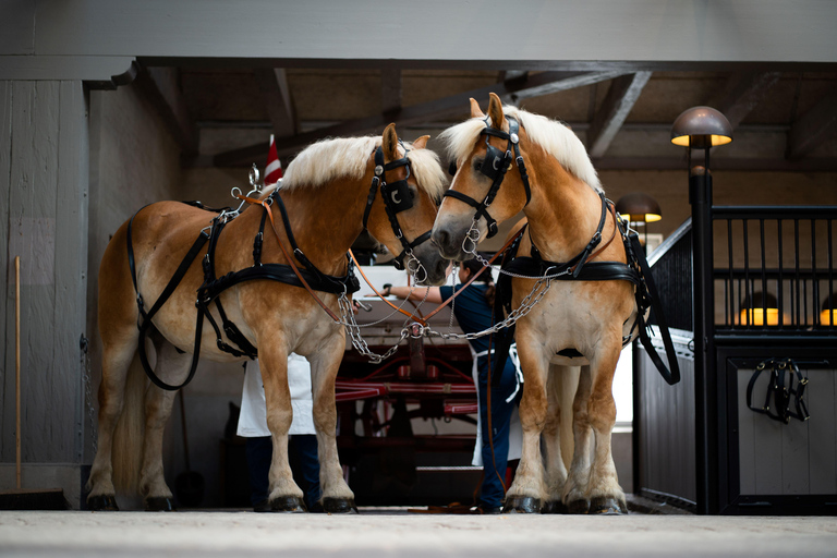 Biglietto d'ingresso per la Casa di Carlsberg + tour guidato alla scopertaBiglietto d'ingresso per la Casa di Carlsberg + tour guidato