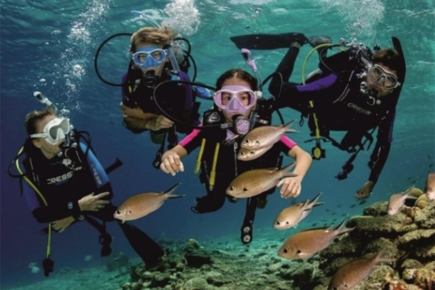 Von der Seite: Scuba Diving: Erforsche die TiefenScuba Diving Tour