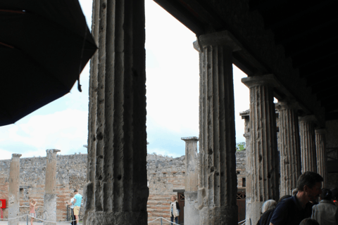From Naples Pompeii & Mount Vesuvius Smart Tour with Tickets