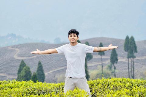 Jakarta: Bandung Waterfall, Dusun Bambu & Tea Tour From Jakarta : Private Bandung Tour