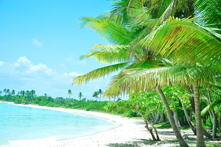 Punta Cana: Saona Island Tour with Lunch and Drinks
