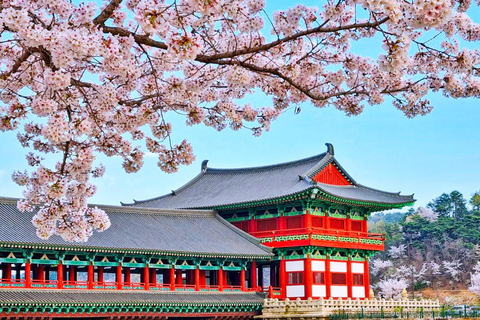 Busan: Spring Cherry Blossom & Gyeongju Highlights Day Tour