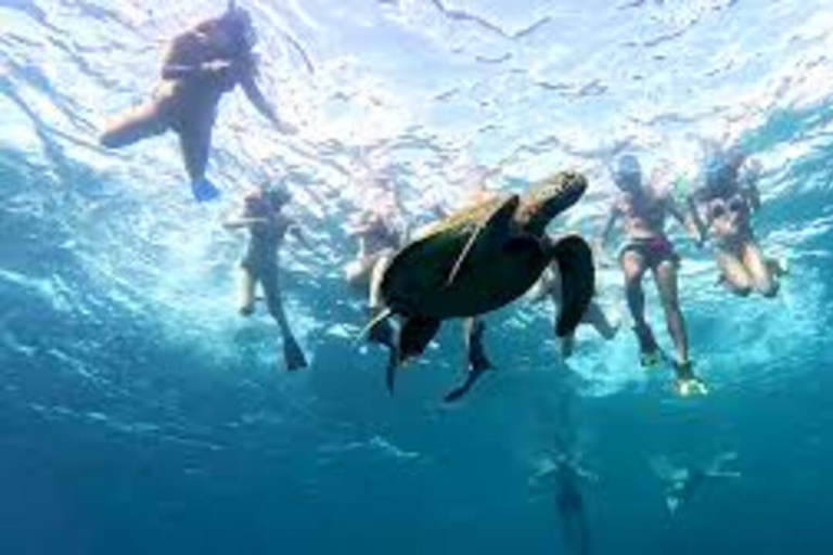 Gili Islands: Snorkeling Sharing Group Tour with Photos
