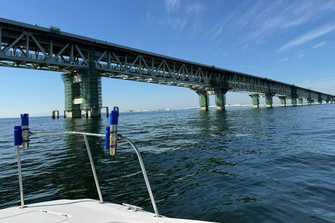 Osaka Bay Fishing Trip All Gear Included Osaka: Half-Day Fishing Trip in Osaka Bay All Gear Included