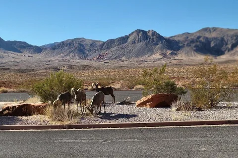 Las Vegas: Valley of Fire Guided Hiking Day Trip