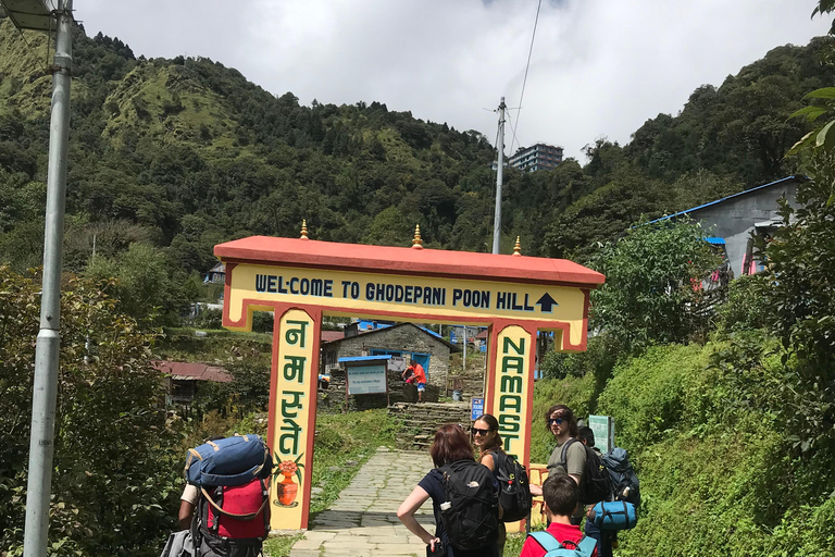 Poon hill Trek 1 Night 2 Days