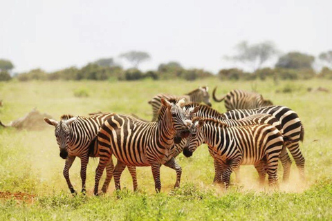 Mombasa/Diani: Taita Hills 2-Day Safari with Meals & Pickup
