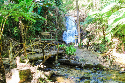 Chiang Mai: Excursión a Doi Inthanon, Cascadas y Aldeas Tribales