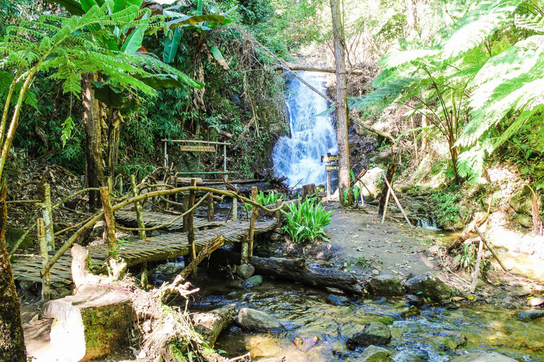 Chiang Mai: Doi Inthanon, watervallen en stamdorpentour