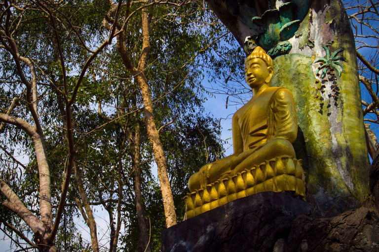 Luang Prabang: Full-Day City with Night Market Private Tour