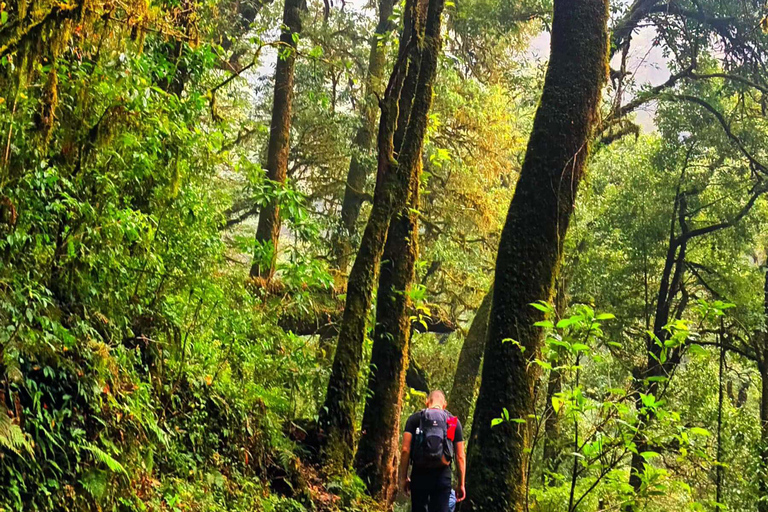 Sandakphu Singalila Ridge Trek - 6 Tage