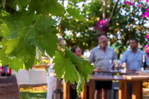 Sorrento: Vinsmagning med udsigt over havet i en citronlund