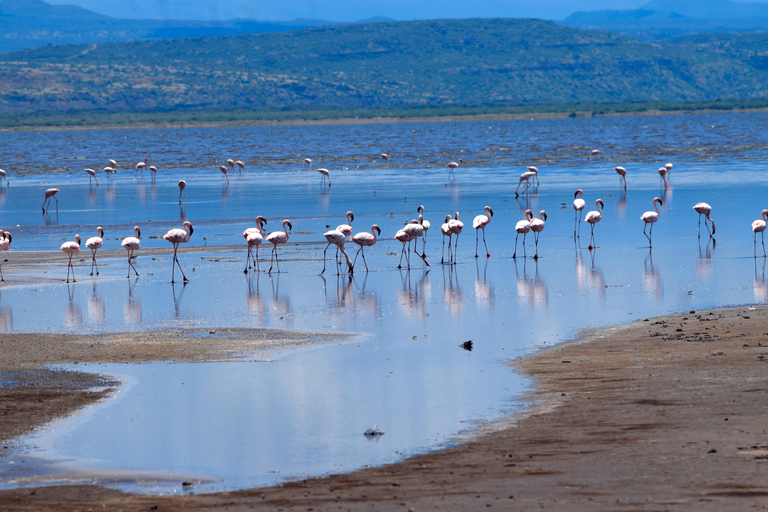 Arusha: Lake Natron Day Trip (Lake Walk &amp; Waterfall Hike)