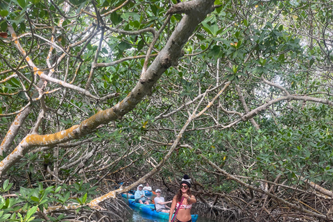 Key West: 2-hour Mangrove Kayak Tour Tandem