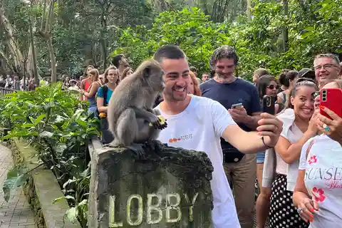Bali: Floresta de macacos, Terraço de arroz, Tirta Empul