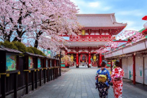 2 jours Tokyo, excursion au Mont Fuji visite guidée privée