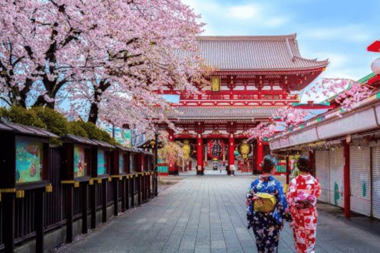 2 Days Tokyo, Mount Fuji Trip Private Guided Tour