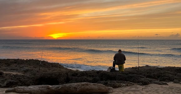 Rincón Day Tour North Coast Beaches & Waterfalls