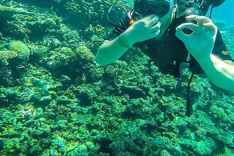 Sharm El Sheikh: Ras Mohamed Snorkeling & Diving Boat Trip Ras Mohamed & White Island – Snorkeling Package