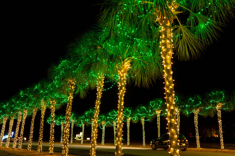 Charleston: Holiday Festival of Lights Tour with S'mores Kit