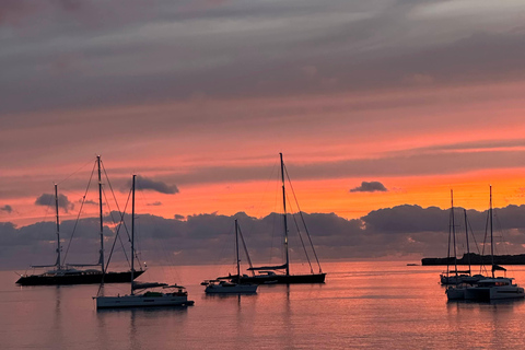 Ibiza: Sunset Sailing Tour with Wine