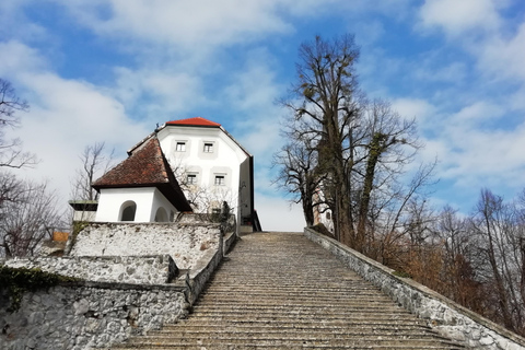 Zagreb: Postojna Cave, Lake Bled & Ljubljana Private Tour