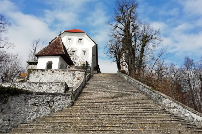 Zagreb: Postojna Cave, Lake Bled & Ljubljana Private Tour