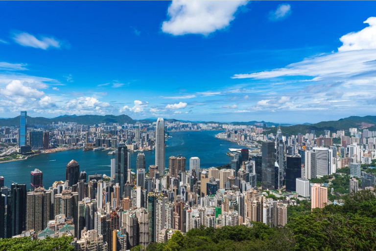 Hong Kong: Night Cruise & Buffet Dinner with Hotel Pickup