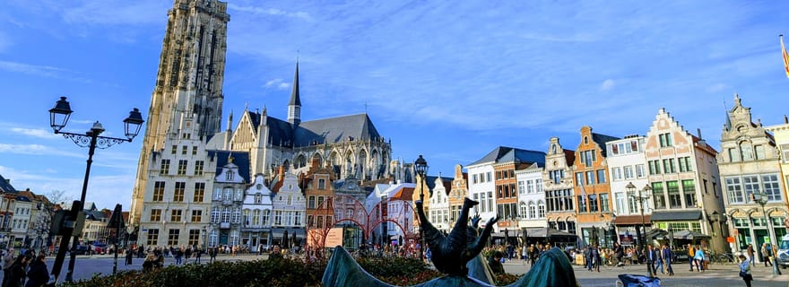 Malines : Visite guidée à pied