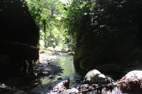 From Arusha: Napuru Waterfalls Guided Hike with Lunch