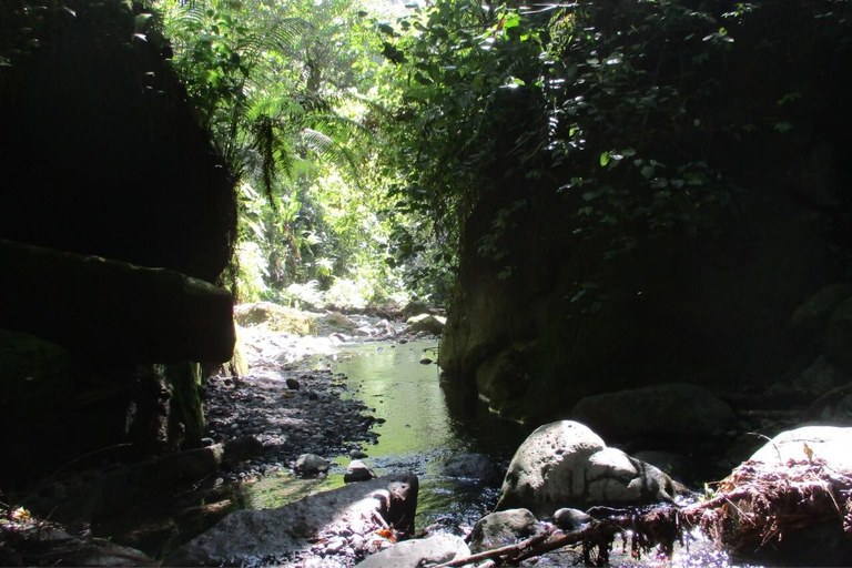 From Arusha: Napuru Waterfalls Guided Hike with Lunch