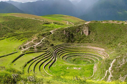 Cusco: Terraces, Salt & Andean Traditions