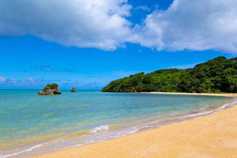 Upphämtning i hamnen: Privat tur i Naha med licensierad guide och fordonVanlig bil