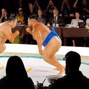 大阪：小錦監修の相撲 | 見学、味わい、挑戦 - 2026件（実際の体験者