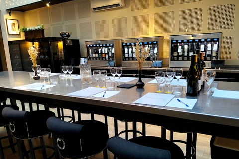 French Wine Tasting Workshop - Downtown Montpellier Workshop in Spanish