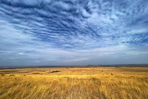 From Nairobi: National Park & Maasai Mara Safari Guided Tour