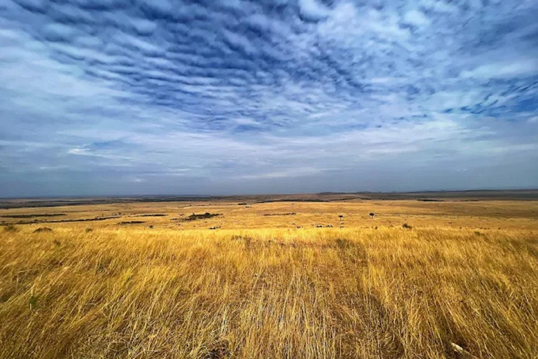 From Nairobi: National Park & Maasai Mara Safari Guided Tour