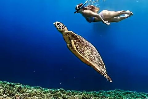 Von der Insel Gili Air aus: Gruppe/öffentliches Schnorcheln 3 Gilis