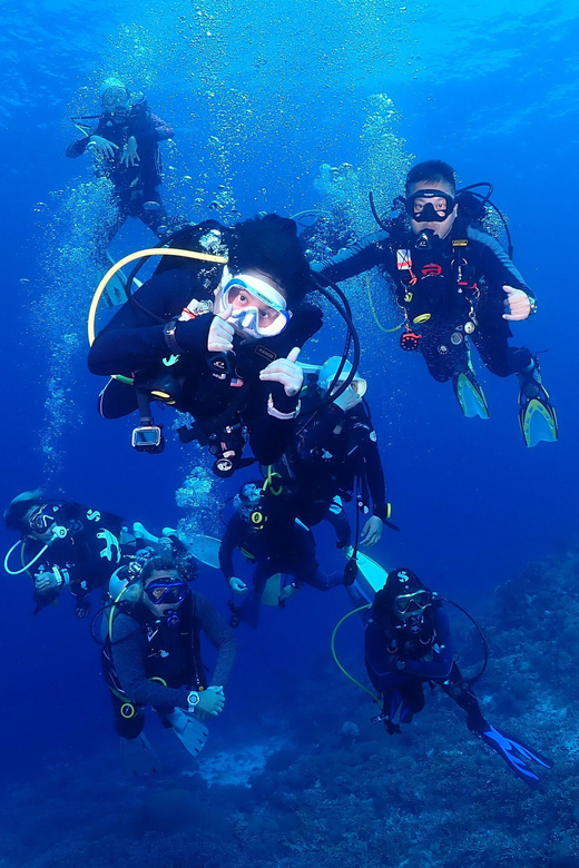 バンタヤン島スキューバダイビング | GetYourGuide
