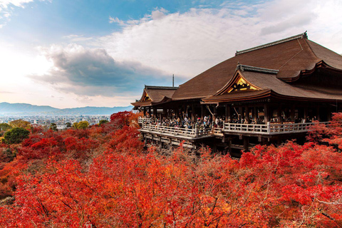 Kyoto/Osaka: Escursione al Tempio Kiyomizu-dera e al Parco di NaraKyoto:9:40