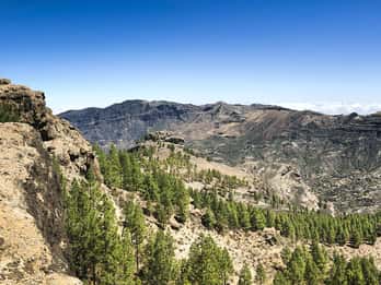 Desde Mogán/Maspalomas: Gran Canaria desde las Alturas y Vistas Increíbles