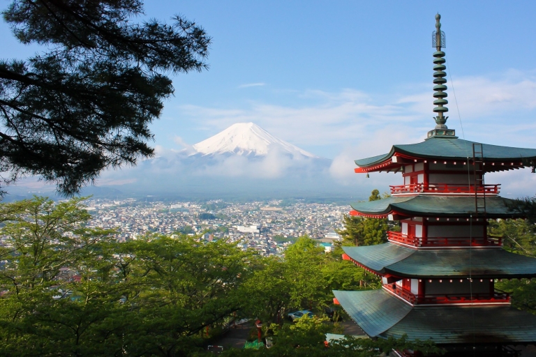 De Tokyo: mont privé d'une journée. Visite de Fuji en voitureDe Tokyo: mont privé d'une journée. Visite de Fuji avec chauffeur